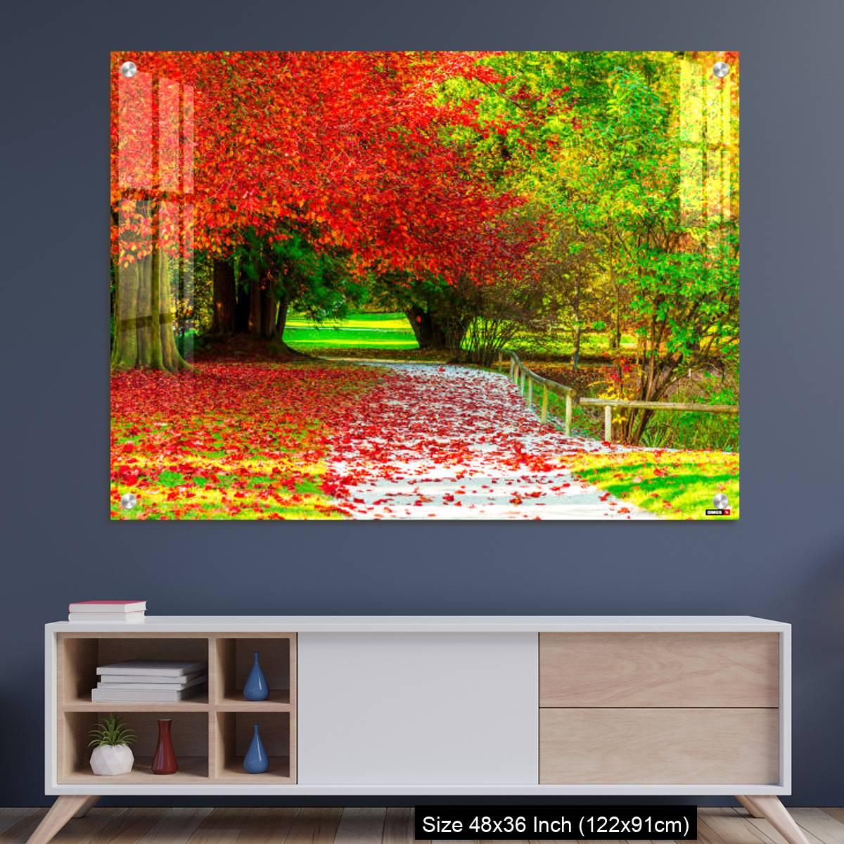OMGs Acrylic Wall Decor – View Of Autumn Trees In Park